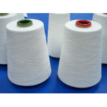 Spun Polyester Yarn for Sewing Thread (30s/2)
